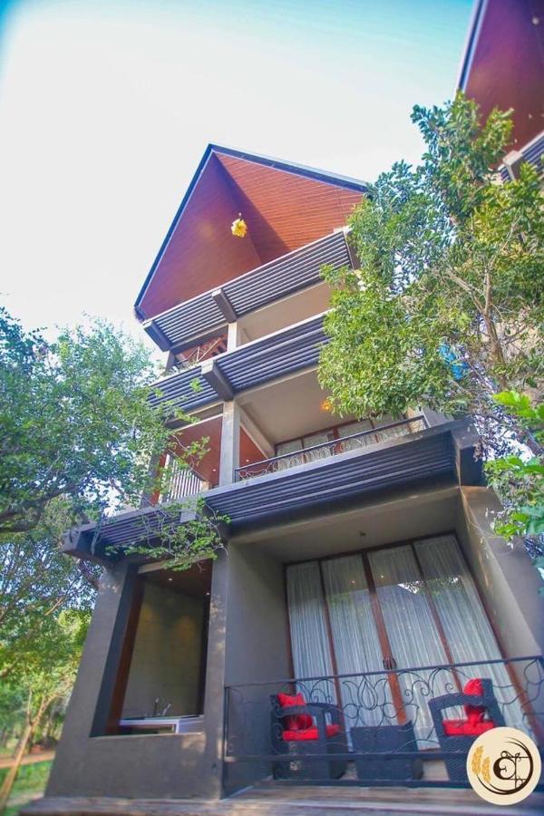 Aswadduma Hotel Dambulla Exteriér fotografie