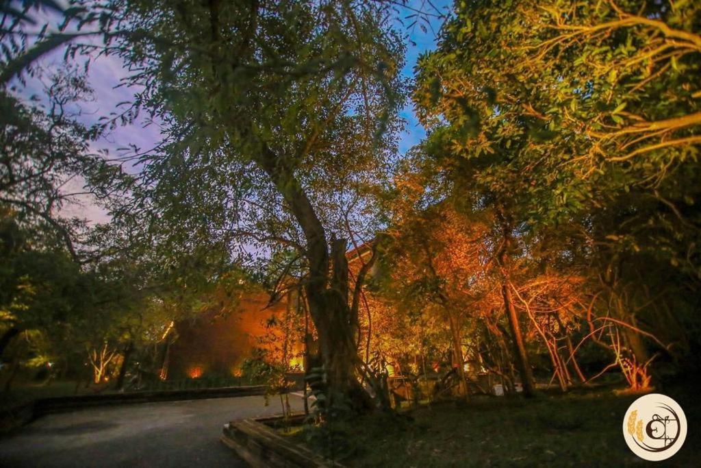 Aswadduma Hotel Dambulla Exteriér fotografie