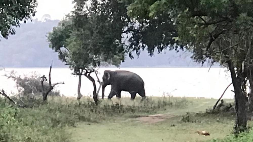 Aswadduma Hotel Dambulla Exteriér fotografie