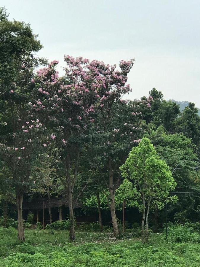 Aswadduma Hotel Dambulla Exteriér fotografie