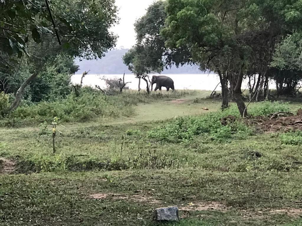 Aswadduma Hotel Dambulla Exteriér fotografie