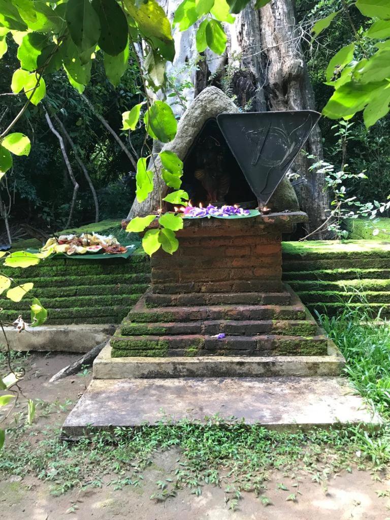 Aswadduma Hotel Dambulla Exteriér fotografie
